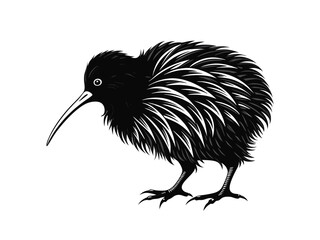 Dodo on white background