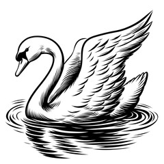 Obraz premium Line art duck in the water, sketch on white background