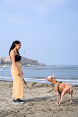 Young woman is training her hairless dog on a sunny beach with the ocean in the background