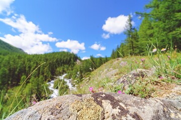 stone surface in the mountains