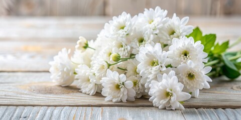 White Chrysanthemums on Weathered Wood, flowers, floral, white , nature