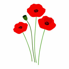 Red poppy meadow flowers Flat vector illustration on a isolated white background (8)