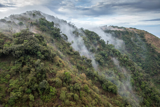 Africa, Kenya, Ngong Hills Nature Reserve, Aerial view of forest-covered slopes of Ngong Hills outside Nairobi
