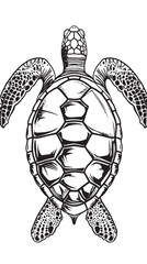 Fototapeta premium Isolated black outline monochrome sea green turtle on white background vector