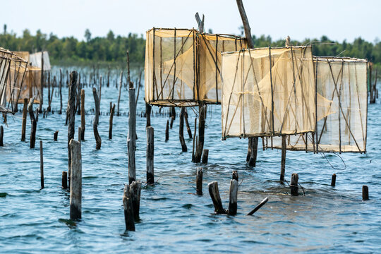 Africa, Madagascar, Lake Ampitabe. Fishing traps are elevated along the shallow channel of Lake Ampitabe.