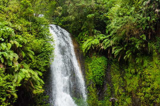 Madagascar, Antsiranana. Amber Mountain National Park waterfall.