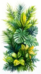 Watercolor illustration of a botanical collection of ferns and tropical plants, white background