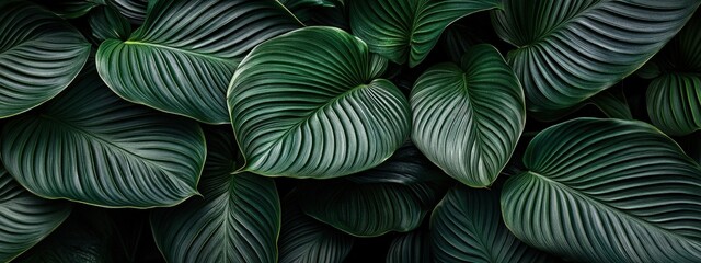 Abstract leaves, green hues, geometric cuts, soft natural lighting