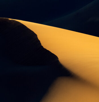 Africa, Erg Chebbi, Morocco. Desert dune contrast. 