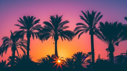 Obraz premium Silhouetted palm trees during sunset with orange and purple hues
