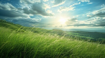 Obraz premium The grassland on the mountaintop is bathed in sunlight, with a dramatic sky filled with soft, rolling clouds providing a stunning contrast.