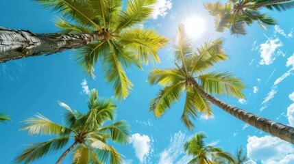 Fototapeta premium Vibrant green palm trees against a clear blue sky