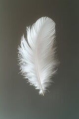 Close-up of a Single White Feather Floating Against a Soft Green Background