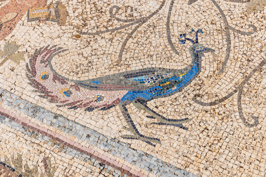 Ben Arous, Tunisia. Roman mosaic floor with a blue peacock at the Uthina Archaeological Site.