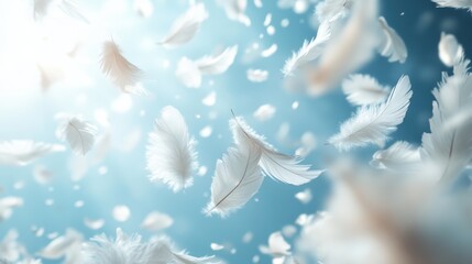 Ethereal White Feathers Floating in a Sunlit Sky Creating a Dreamlike and Serene Atmosphere