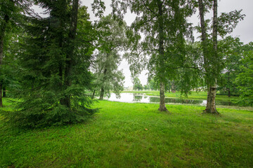 A park with a pond and trees