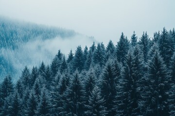Obraz premium ilustration of fog in the forest