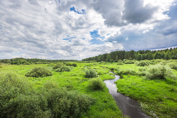 Obraz premium A grassy field with a small stream running through it