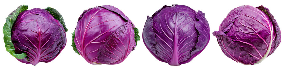 Obraz premium Collection of fresh purple cabbages arranged in a row. Healthy vegetables for cooking and salads