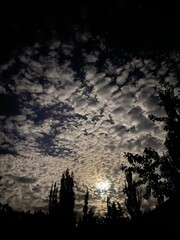 Naklejka premium Moonlit Clouds on a Dark Night