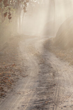 India, Madhya Pradesh, Kanha National Park. Dust is a common sight along the roads of the park.