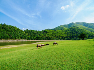 Scenery of Xiaohang Pit in Huzhou, Zhejiang Province