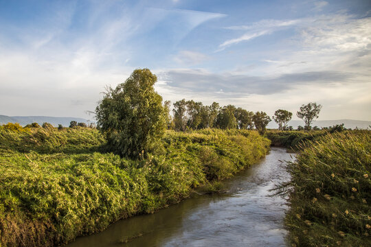 Israel, Jordan River flowing into the Sea of Galilee.