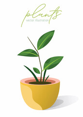 Potted plant icon. Home plants minimal vector illustration