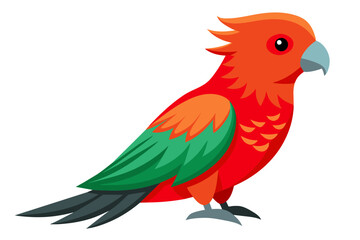 Australian king parrot vector art illustration