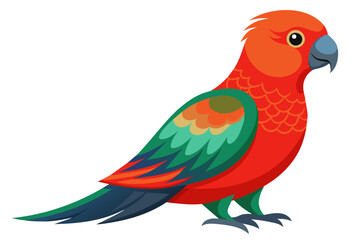 Australian king parrot vector art illustration