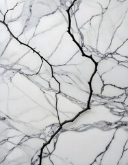 Light Grey Marble Surface with Thin Dark Grey Veins, marble surface, stone marble, white marble, marble tiles