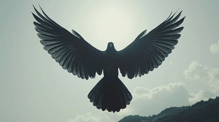 Fototapeta premium Silhouette of bird with spread wings against bright sky