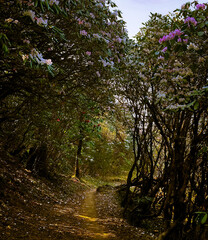 Obraz premium Nature at its best.