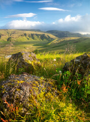 Summer meadows in the mountains. Grasses and valleys. Landscape of northern Europe.