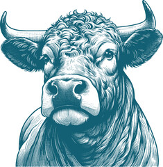 cow vector