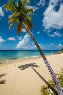 Sprat Hall Beach, St. Croix, US Virgin Islands.