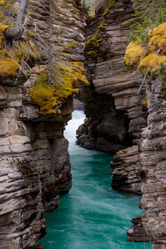 Canada, Alberta. Athabasca Falls detail, Jasper National Park.