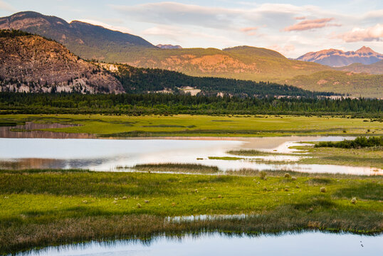 Canada, British Columbia. Wetlands at southern end of Columbia Lake, source of Columbia River.