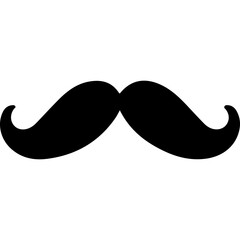 Fototapeta premium Moustache