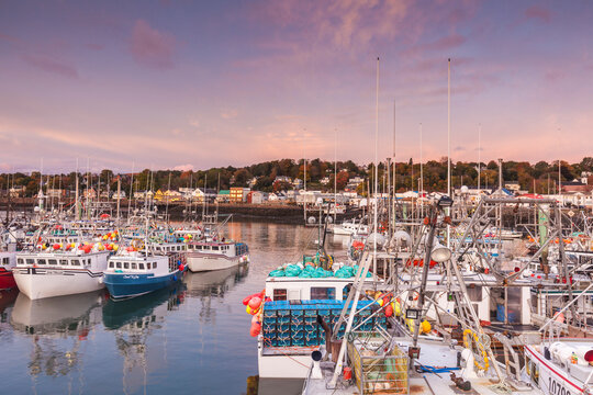 Canada, Nova Scotia, Digby. World's largest scallop boat fleet.