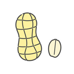 落花生　イラスト