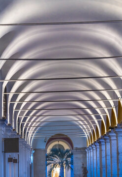 Long Row Arches Palm Tree Cityscape, Nice, Cote d'Azur, France