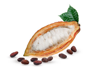Cocoa beans with cocoa pod isolated on white background on transparent