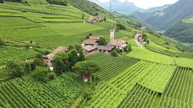 Aerial view of vineyards, wineries, houses and churches on the slopes of high mountains on a sunny day, South Tyrol, Bolzano, Italy