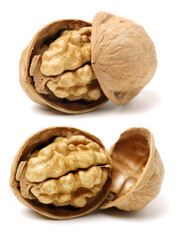 walnuts on a white background