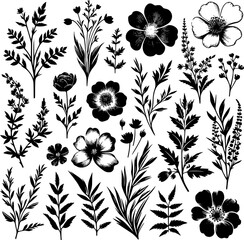 Botanic set of detailed various flowers and brunch. Luxury vintage floral collection for wedding invitation, wallpaper art or save the date card.