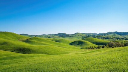 Obraz premium Green rolling hills under a clear blue sky, pastoral landscape, peaceful countryside