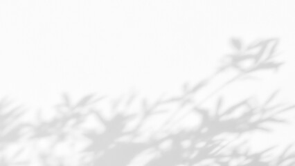 Shadow of leaves tree plant overlay on white wall. Sunlight effect shadow on the wall. Minimal...