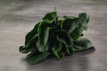 Ripe green spinach leaves heap