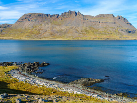 Driftwood from Siberia. Landscape along the Strandvegur at Veidileysufjordur. The Strandir in the Westfjords (Vestfirdir) in Iceland during autumn.